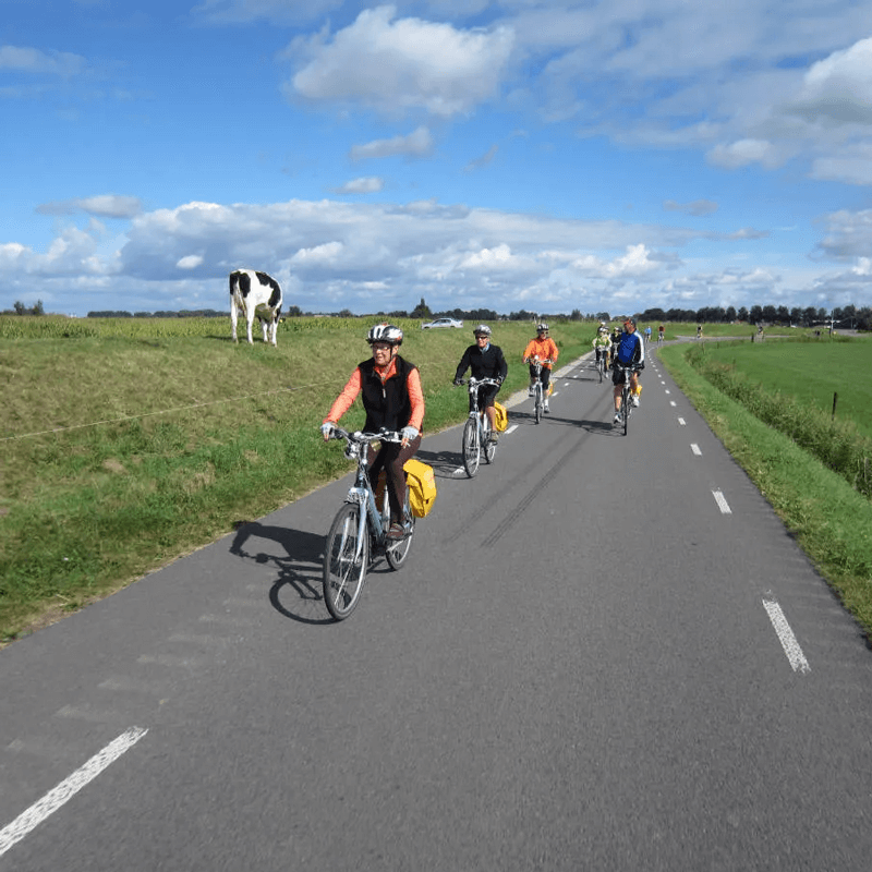 Webdesign Zaandam / Zaanstad, Project Direct, Timo van Tilburg, Snel een Webdesigner Zaandam / Zaanstad, Website laten maken Zaandam / Zaanstad, Website laten bouwen Zaandam / Zaanstad, SEO Zaandam / Zaanstad, SEA Zaandam / Zaanstad, Online Marketing Zaandam / Zaanstad, Wordpress Zaandam / Zaanstad, Zoekmachine optimalisatie Zaandam / Zaanstad